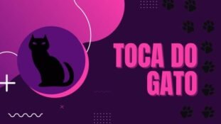 Toca do gato 🐱