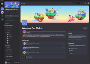 configurar e administrar um servidor Discord