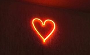 Web amor 😍